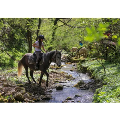 10 kérdés ami segít lovastábort választani